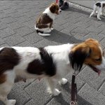 9 Woche